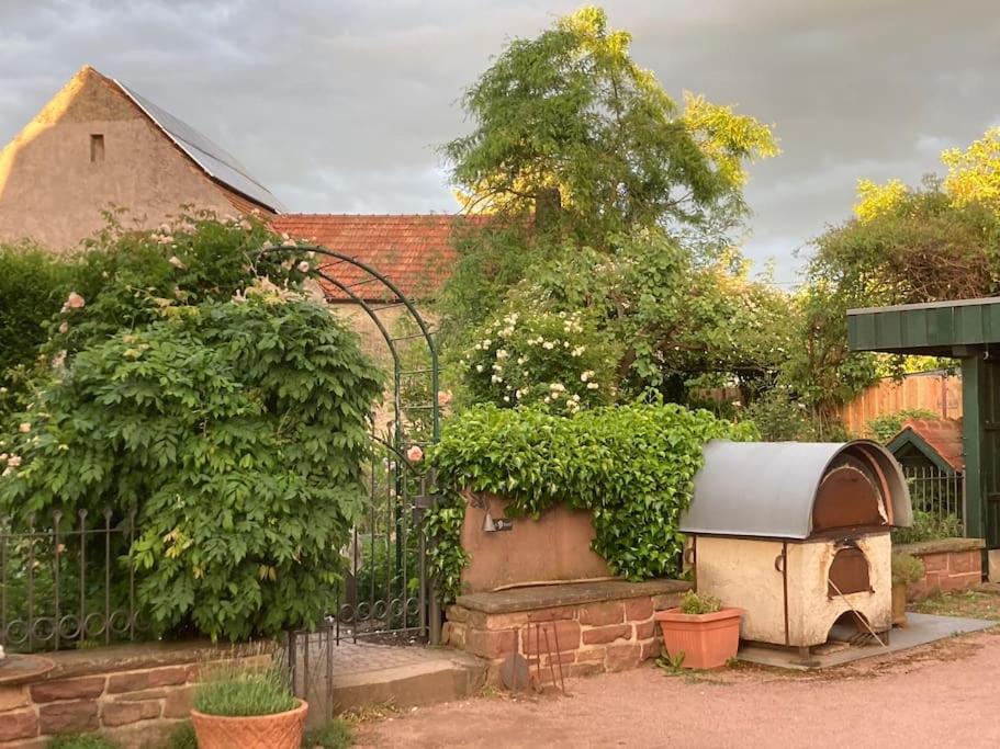 Charmante, Grosszuegige Ferienwohnung Villa Fleurie Bretten Bagian luar foto